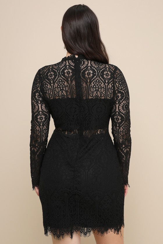 Appetite for Seduction Black Lace Long Sleeve Dress